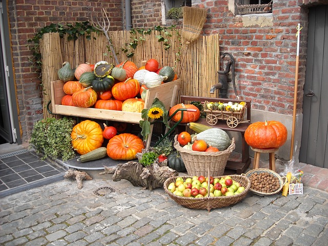 Pumpkin, zucchinis, squash