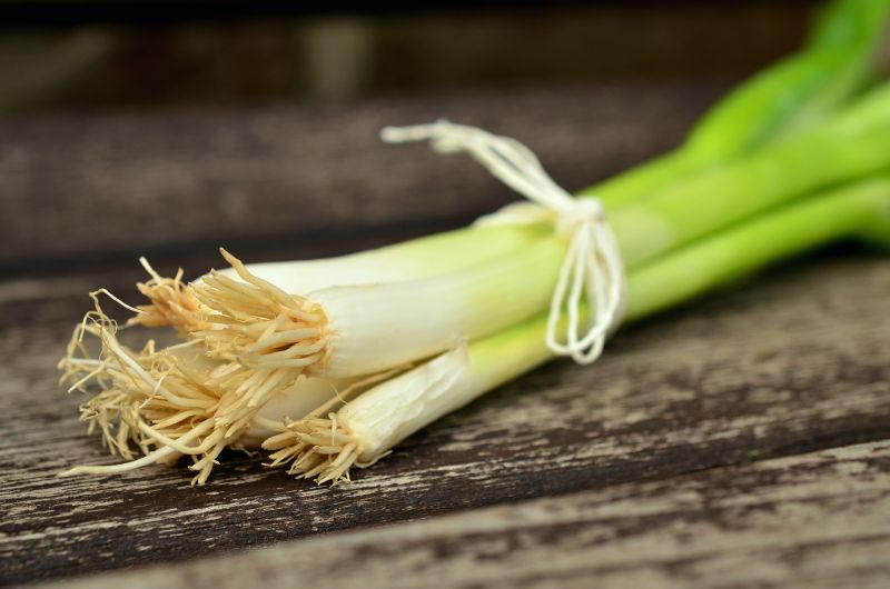 A bundle of scallions