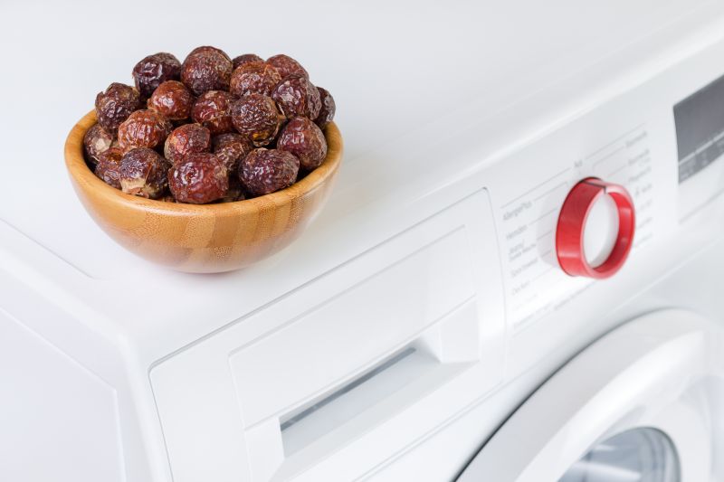 Soap nuts in a bowl on the washing machine